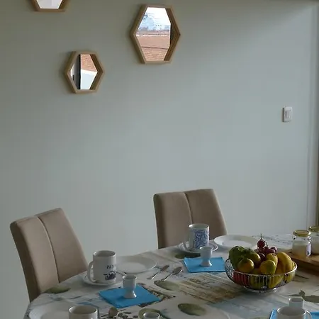 Shearwaternest 2 Funchal (Madeira)