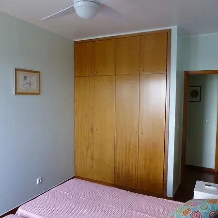 Shearwaternest 2 Funchal (Madeira)