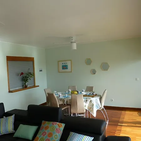 Shearwaternest 2 * Funchal (Madeira)