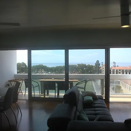 Shearwaternest 2 Funchal (Madeira)