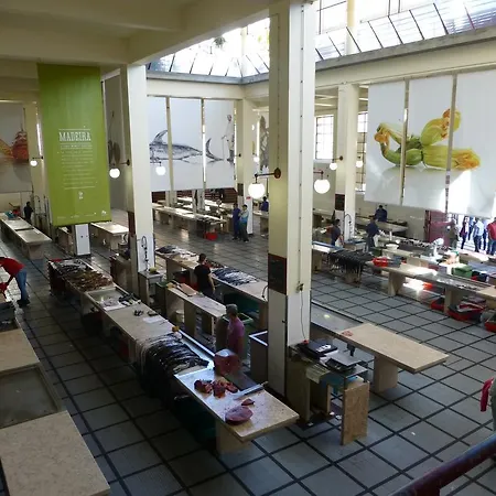 Apartamento Shearwaternest 2 Funchal (Madeira)